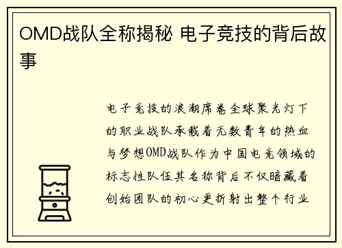 OMD战队全称揭秘 电子竞技的背后故事